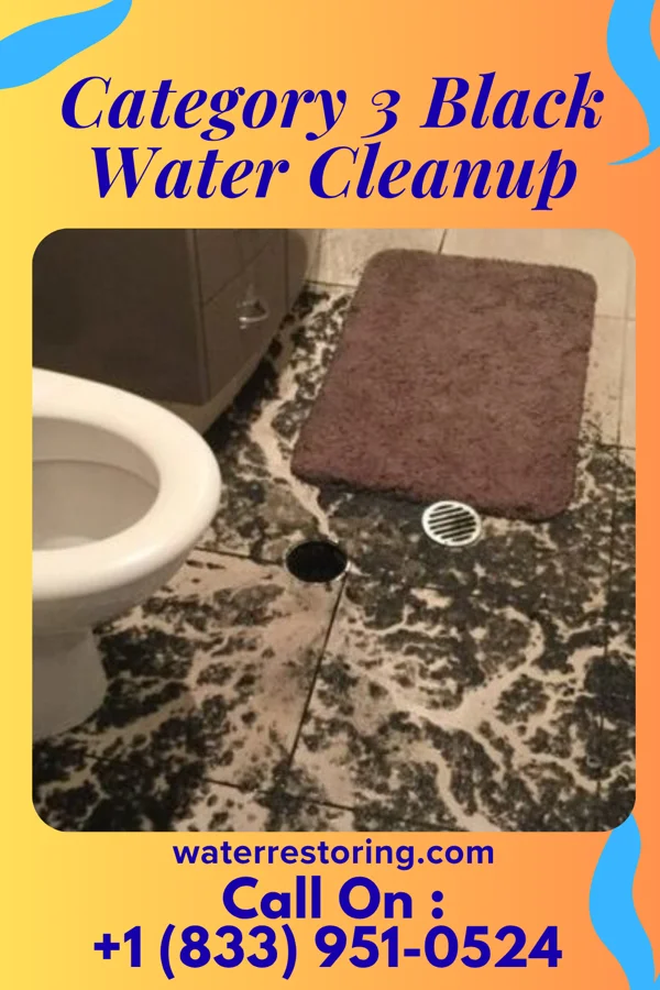 Category 3 Black Water Cleanup in Grafton, ND