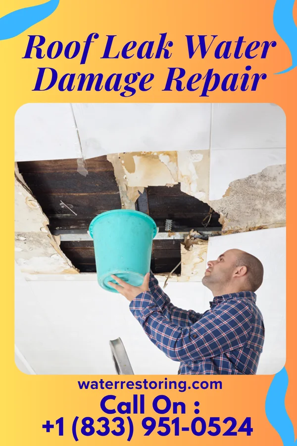 Roof Leak Water Damage Repair in Grafton, ND
